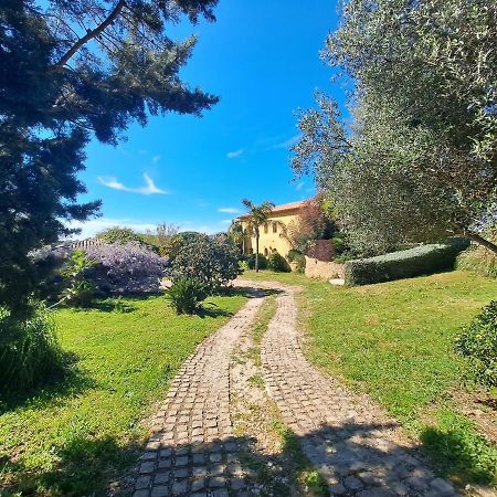 Rez De Jardin Villa Presqu'Ile De Giens Йер Экстерьер фото