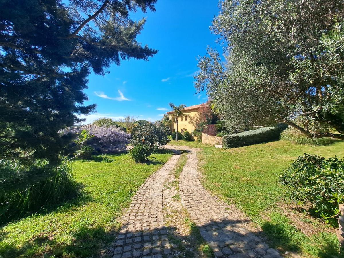 Rez De Jardin Villa Presqu'Ile De Giens Йер Экстерьер фото