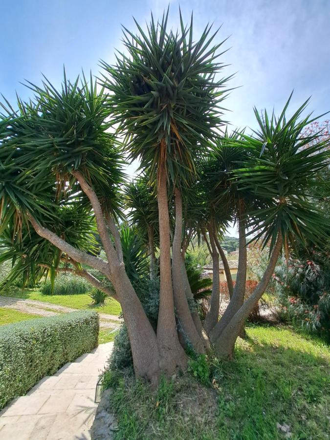 Rez De Jardin Villa Presqu'Ile De Giens Йер Экстерьер фото